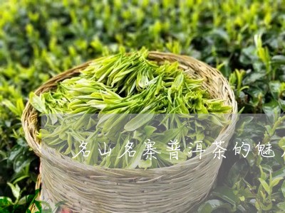 名山名寨普洱茶的魅力/2023092980626