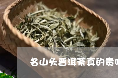 名山头普洱茶真的贵吗/2023061794946