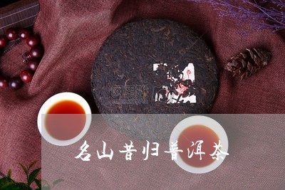 名山昔归普洱茶/2023101612795