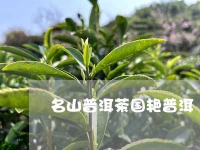 名山普洱茶国艳普洱/2023091493027