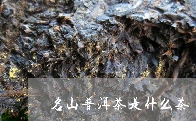 名山普洱茶是什么茶/2023070960304