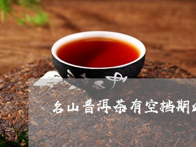 名山普洱茶有空档期么/2023062147379