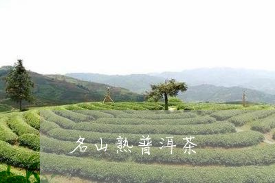 名山熟普洱茶/2023112666381