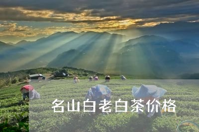 名山白老白茶价格/2023073106059