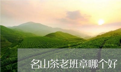 名山茶老班章哪个好/2023042876289