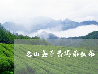 名山荟萃普洱茶生茶/2023120427069