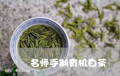 名师手制有机白茶/2023061306038