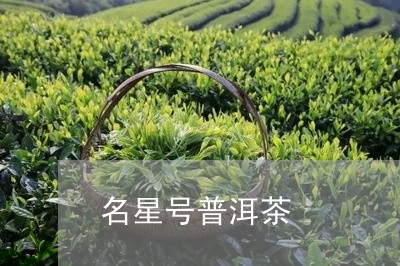 名星号普洱茶/2023042706928