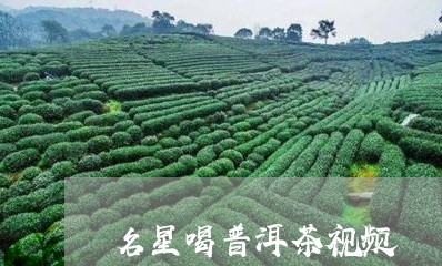 名星喝普洱茶视频/2023082642693