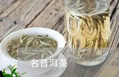 名普洱茶/2023083160713