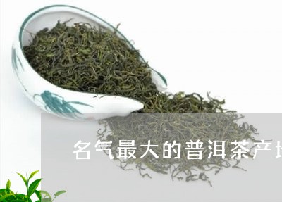 名气最大的普洱茶产地/2023062905137