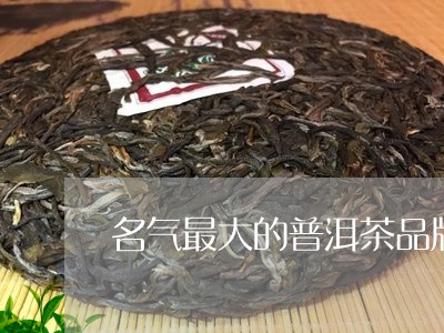 名气最大的普洱茶品牌排行榜/2023052829384