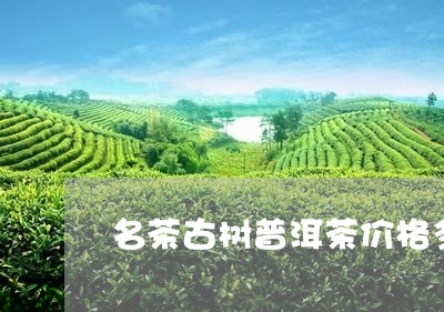 名茶古树普洱茶价格多少/2023110554138