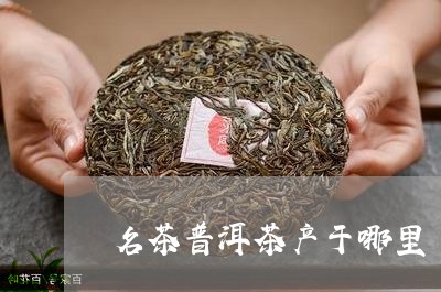 名茶普洱茶产于哪里/2023070837591