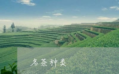 名茶种类/2023110951047