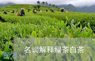 名词解释绿茶白茶/2023061388815