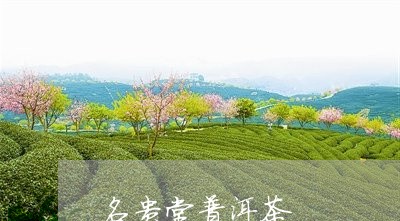 名贵堂普洱茶/2023042725669