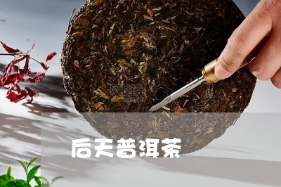 后天普洱茶/2023102528492