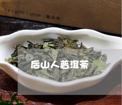 后山人普洱茶/2023042829486