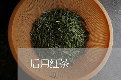 后月红茶/2023121933036