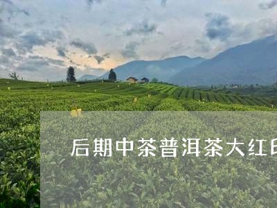 后期中茶普洱茶大红印/2023100792856