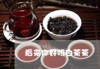 后来你好吗白茶茶/2023061327271