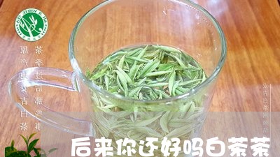 后来你还好吗白茶茶/2023071632704