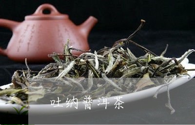 吐纳普洱茶/2023090513057