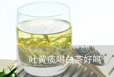 吐黄痰喝白茶好吗/2023061386959