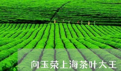 向玉荣上海茶叶大王/2023042528270