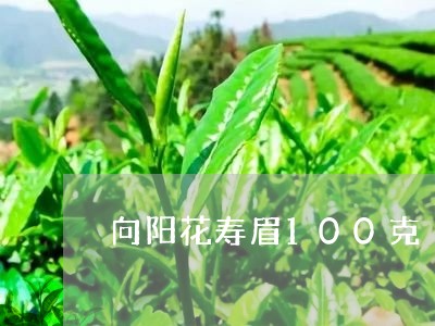 向阳花寿眉100克/2023071392736