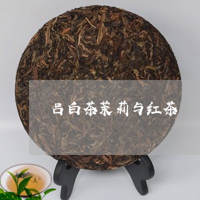 吕白茶茉莉与红茶/2023061329370