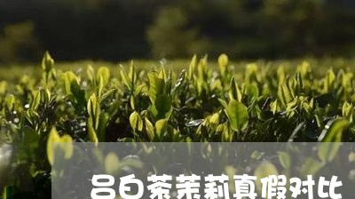 吕白茶茉莉真假对比/2023121859471