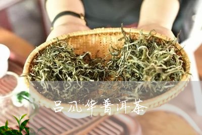 吕风华普洱茶/2023042700286