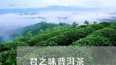 君之味普洱茶/2023042783284