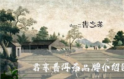 君享普洱茶品牌介绍图片/2023082782512