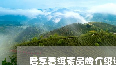 君享普洱茶品牌介绍词句/2023082984836