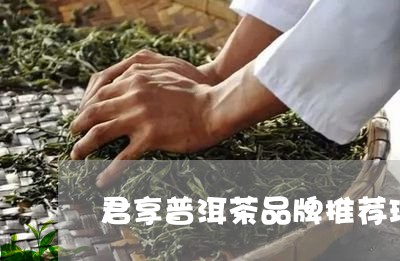 君享普洱茶品牌推荐理由/2023082725132