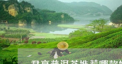 君享普洱茶推荐哪款好些/2023082936937