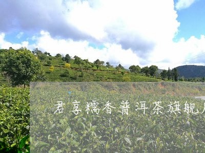 君享糯香普洱茶旗舰店/2023072165341