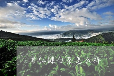 君弘健白茶怎么样/2023061359403