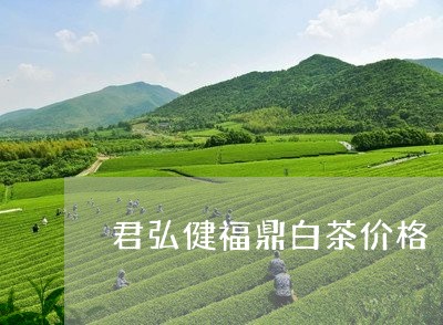 君弘健福鼎白茶价格/2023120345838