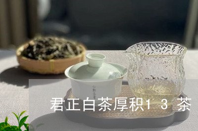 君正白茶厚积13茶/2023071364959