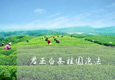 君正白茶桂圆泡法/2023061306380