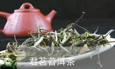 君茗普洱茶/2023102596271