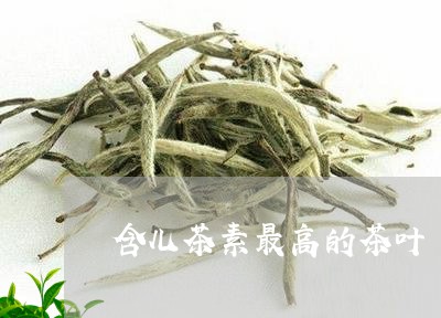 含儿茶素最高的茶叶/2023042556160