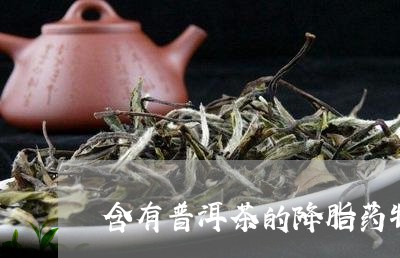 含有普洱茶的降脂药物是/2023110572614