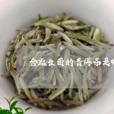 含益生菌的普洱茶是哪种/2023121578272