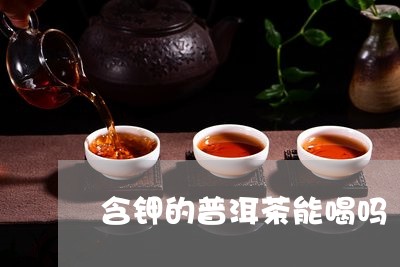 含钾的普洱茶能喝吗/2023082912881