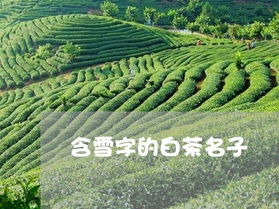 含雪字的白茶名子/2023061395038